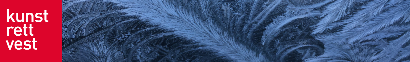 nyhetsbrev-topp-des17-3