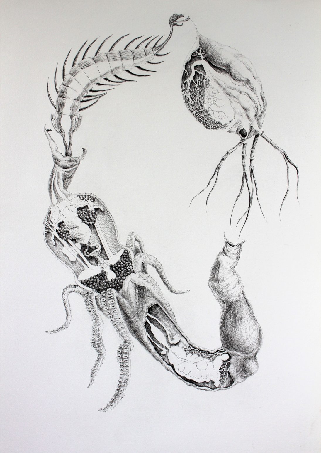 Marthe Samuelsen